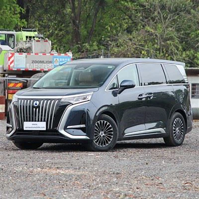 เดนซา ดี9 4WD EV MPV
